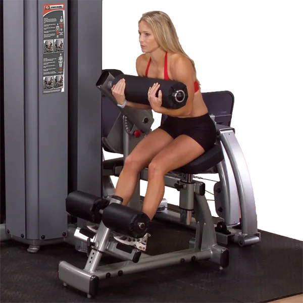 Bodysolid Pro Dual Ab and Back Machine Freestanding