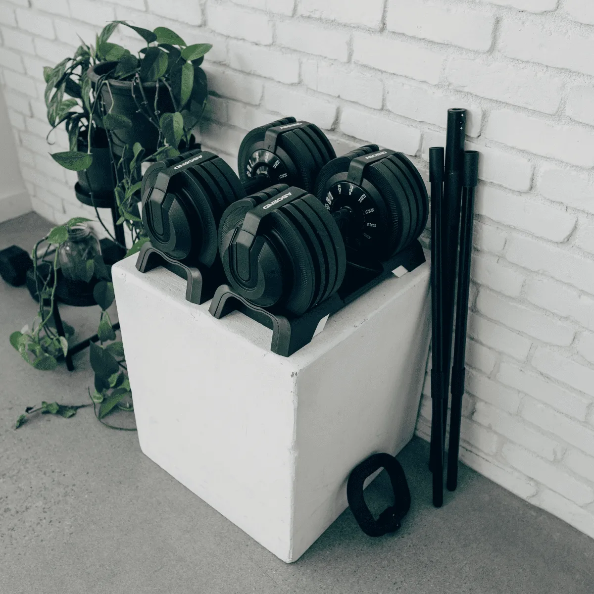 Bundle:  Ascend 3-in-1 Adjustable Dumbbells (7 to 52.5 lb) & Bench