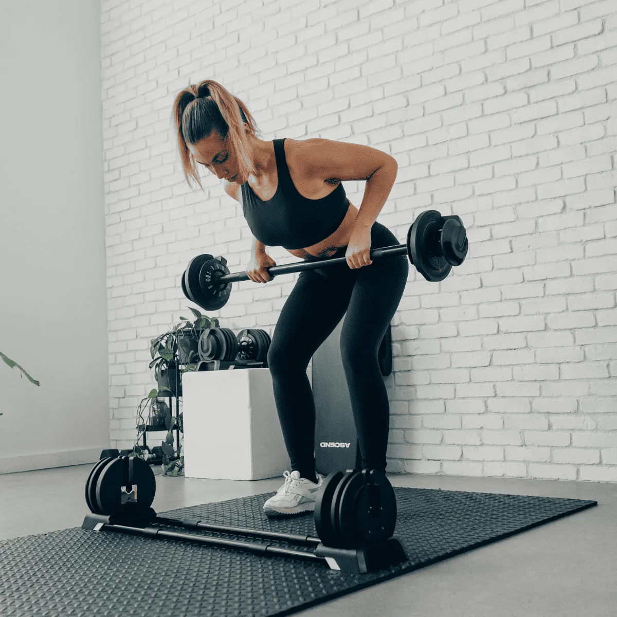 Bundle:  Ascend 3-in-1 Adjustable Dumbbells (7 to 52.5 lb) & Bench
